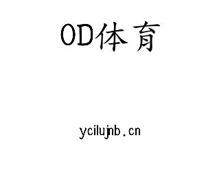 深圳市OD体育电子有限公司官网